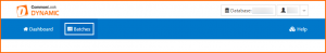 The Dynamic toolbar with the Batches button highlighted.